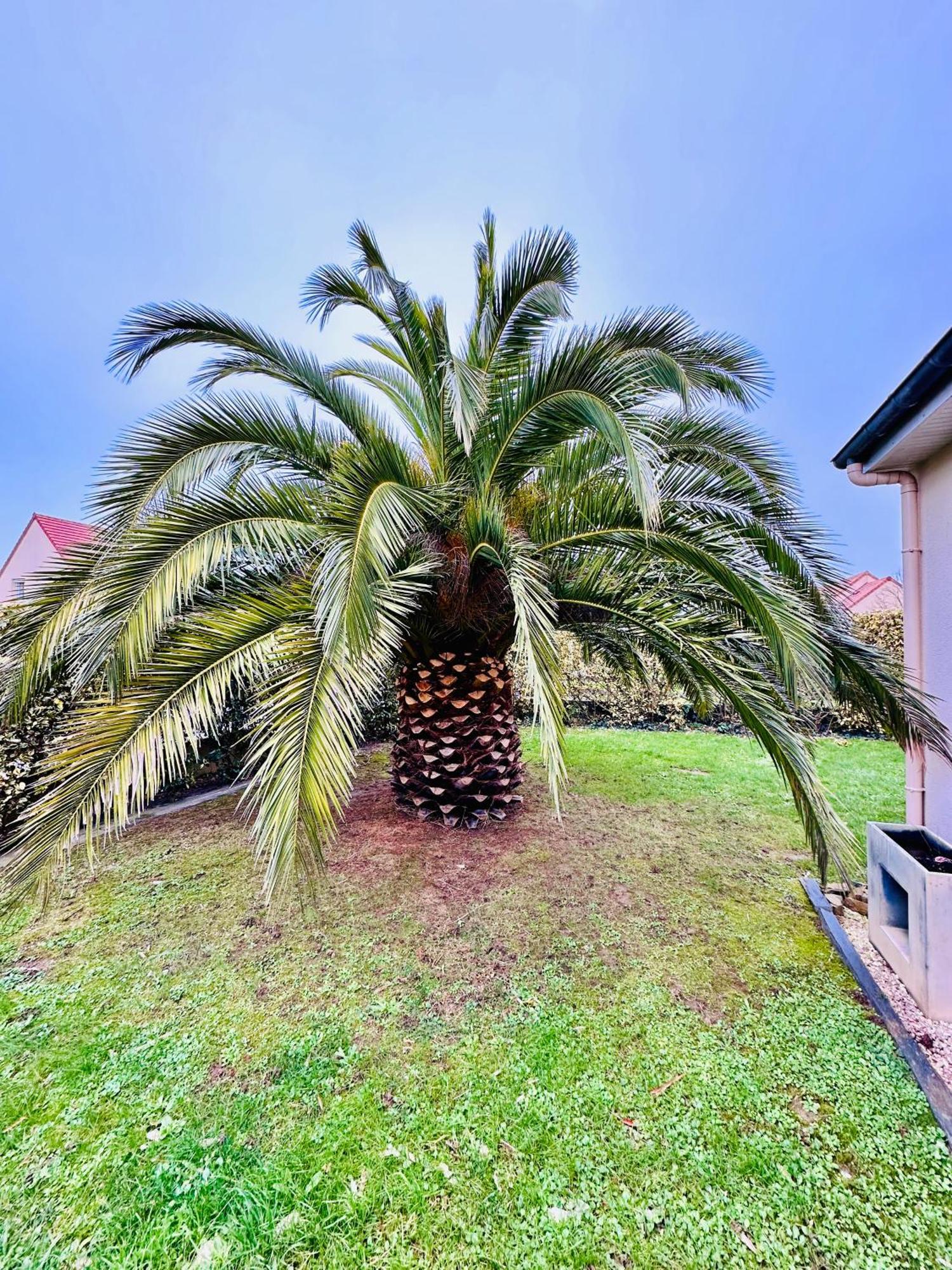 Les Palmiers Gite 7 Personnes Plages Du Debarquement Grandcamp-Maisy Εξωτερικό φωτογραφία